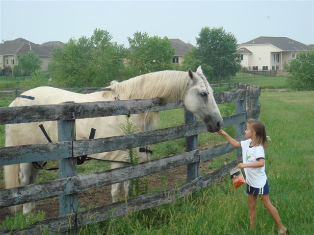 Girl Feeding Horse